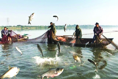 鎮江句容推進全域生態河湖治理