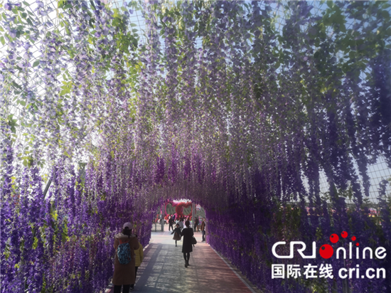 （原創 本網專稿 三吳大地泰州 移動版）泰州“悅動海陵”麒麟花海旅遊節啟動