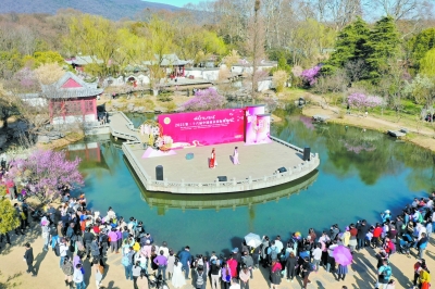 梅花節和梅花獎開啟夢幻聯動