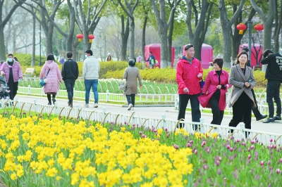 花香春色美 踏青遊人醉