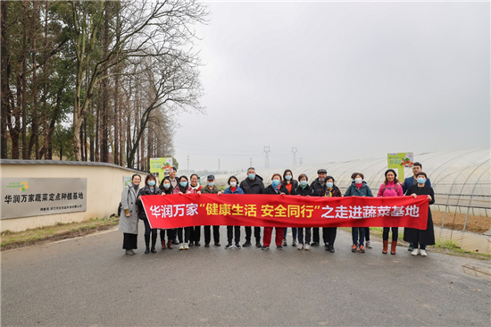 （B 園區）市民走進華潤萬家蔬菜基地 實地追溯 “菜籃子安全”