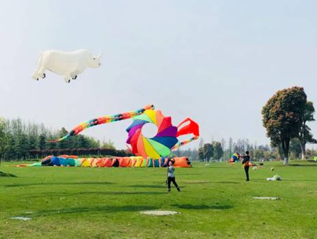 花在淳慢城 何須出金陵，第十三屆中國·高淳國際慢城金花旅遊節即將開幕