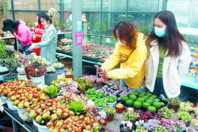 （要聞 三吳大地南京 移動版）南京花鳥市場恢復營業