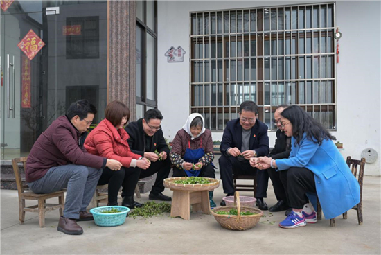 （B 區縣）蘇州昆山市張浦鎮財政開展“學史力行服務先鋒隊”黨建聯盟活動