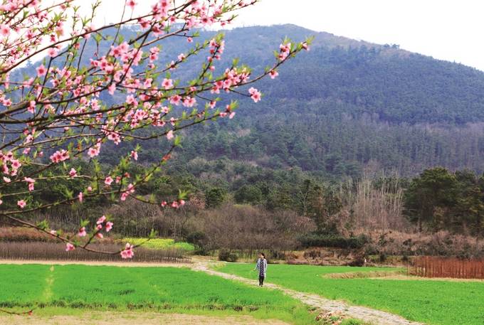 江蘇茅山：打造文旅強極 建設美麗福地