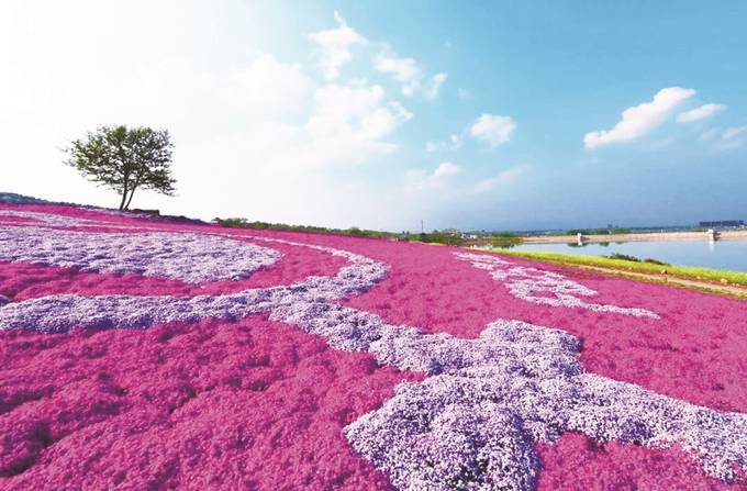 江蘇省句容市：山水田園福地 宜居宜遊名城