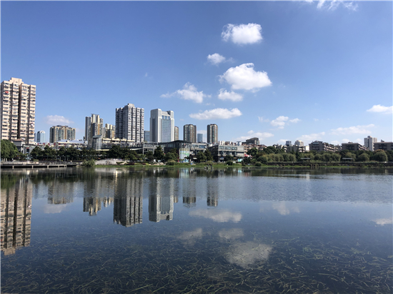 南京市建鄴區南湖公園為黑天鵝公開徵名 引導市民愛護鳥類_fororder_8