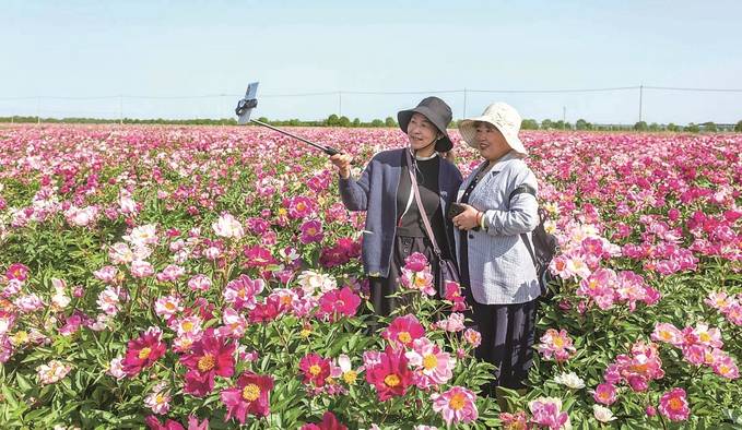 江蘇：提升旅遊體驗 供給側還需發力