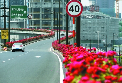 南京江北新區“一路花開”