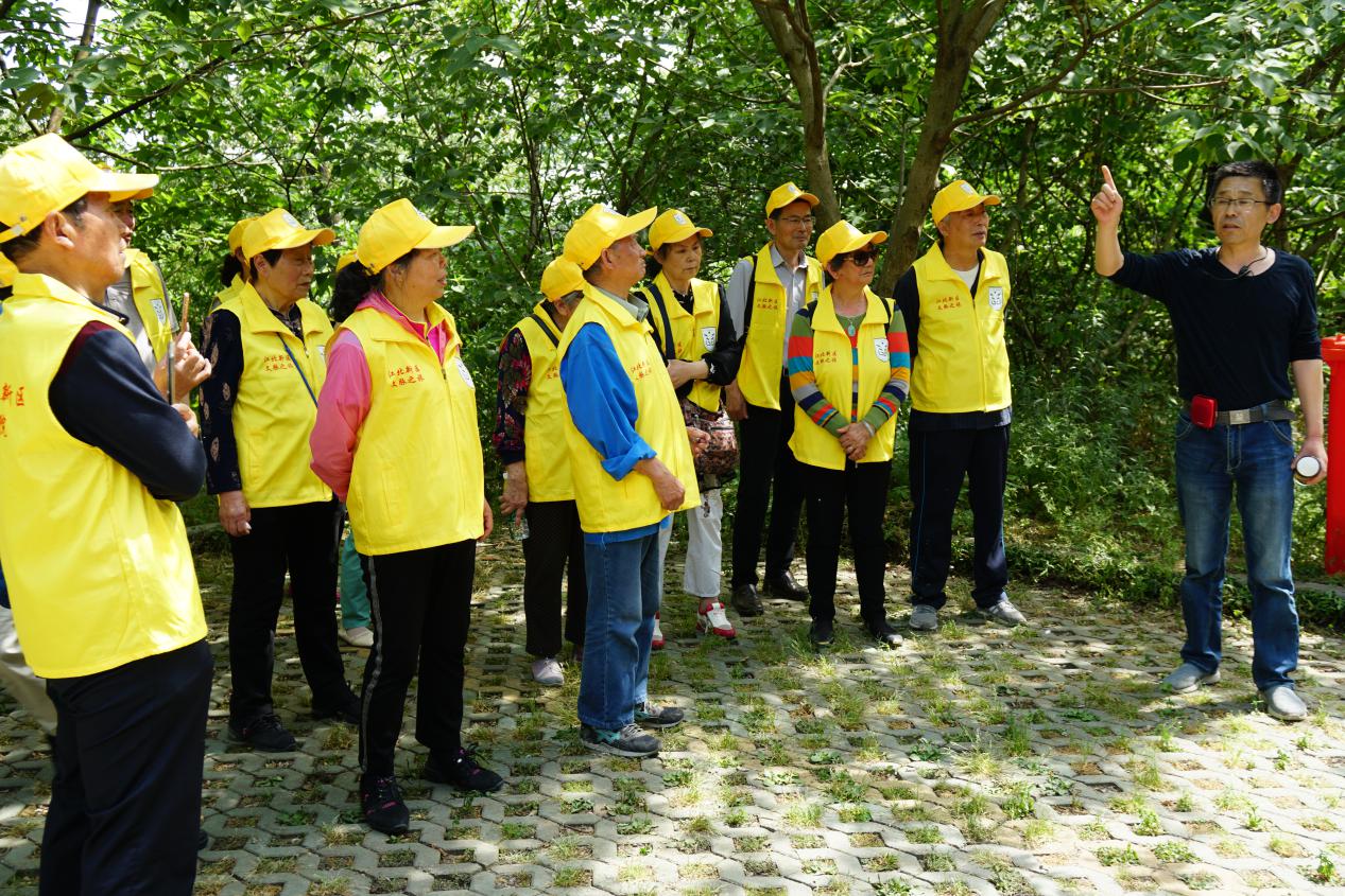 （供稿 文體列表 三吳大地南京 移動版）追尋歷史脈絡 南京江北新區文脈之旅走進盤城（列表頁標題）南京江北新區文脈之旅走進盤城