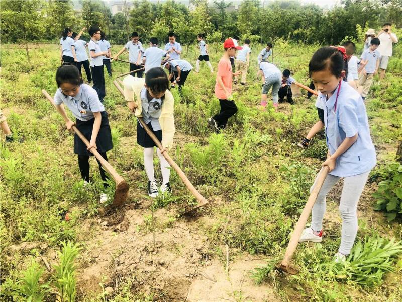 傳承紅色基因、講好紅色故事 各地中小學校開展多種形式主題活動