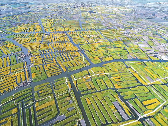 生態修復 江蘇這樣點“土”成“金”