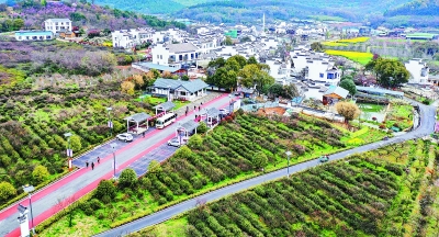 南京民宿行業走過井噴期，迎來“成長的煩惱”