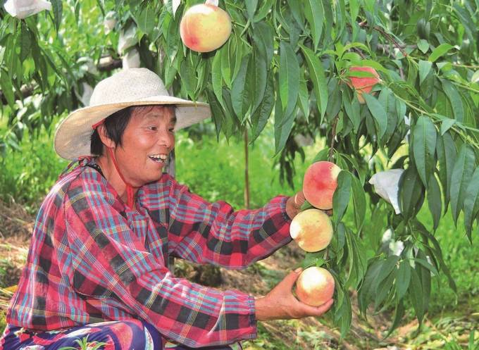 丹陽：把美麗鄉村“施工圖”變成美好生活“實景圖”