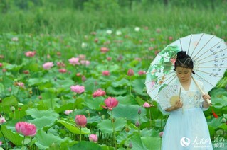 江蘇南京：浮香繞棠邑 荷花映池杉