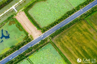 江蘇淮安：美麗農路助振興