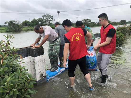 蘇州吳中區甪直鎮：堅持“兩在兩同” 為群眾辦好實事_fororder_圖片7