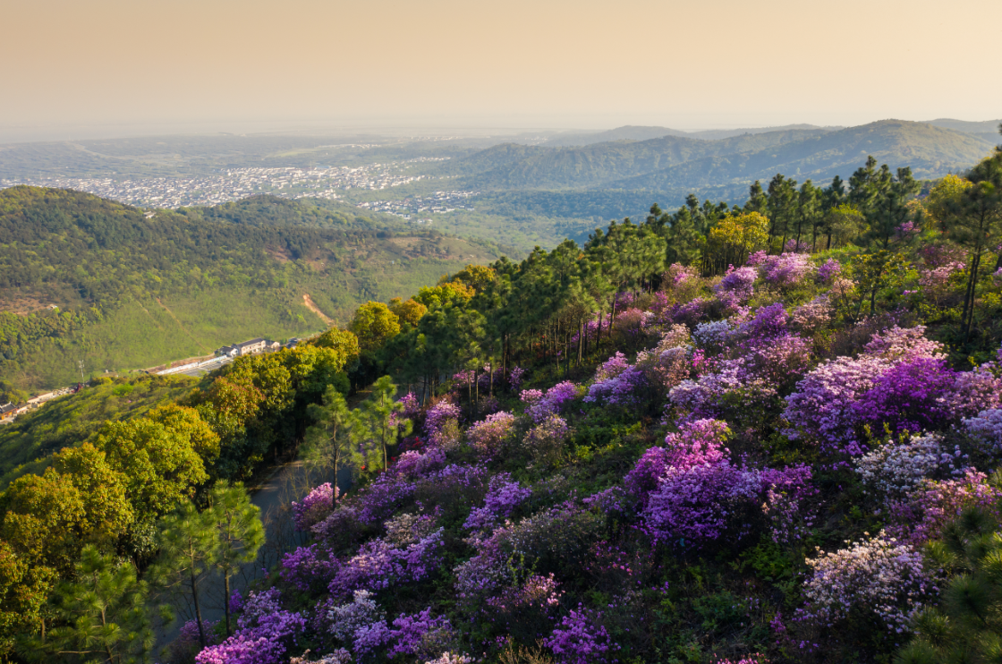 蘇州東山：山水藏天地 四時皆盛景