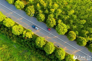 江蘇淮安：美麗農路助振興