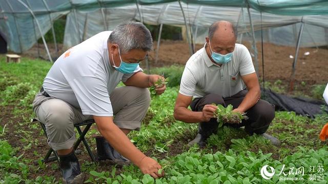 江蘇：愛心助農抗疫情