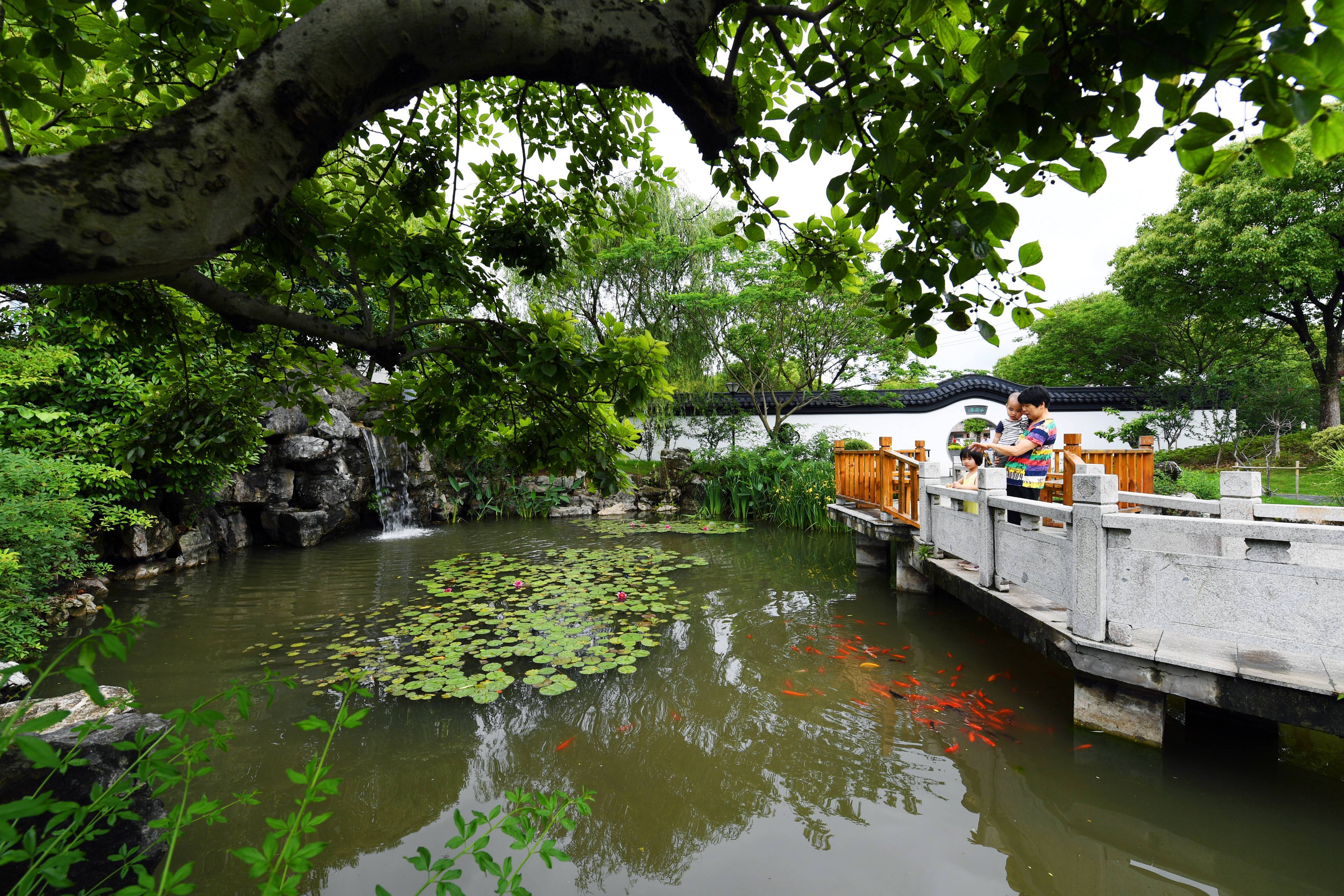 宜興和橋：五彩夏日綻放文旅之花