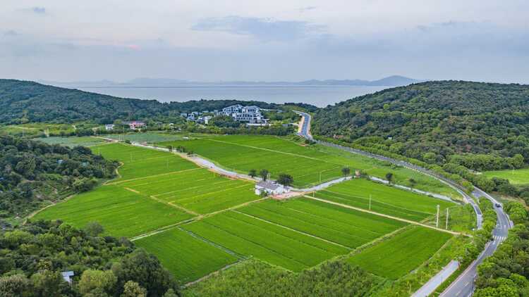 無錫馬山：湖光山色四面景 群山如黛綠如藍