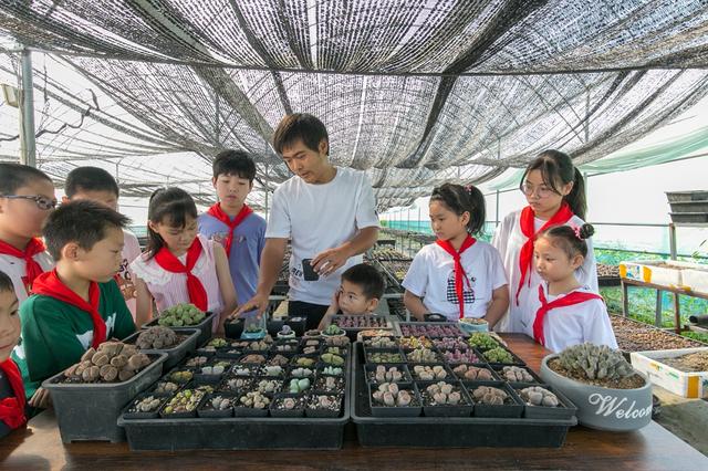 江蘇如皋：生石花開出致富果