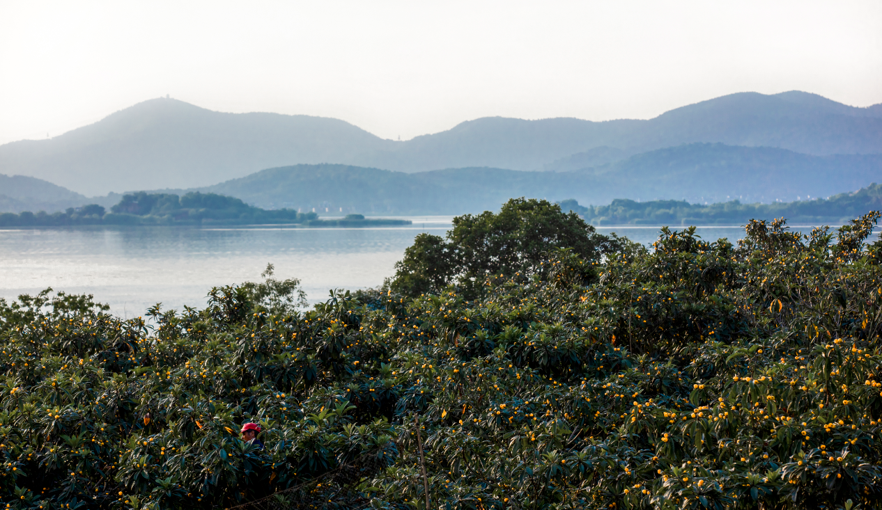 蘇州東山：山水藏天地 四時皆盛景