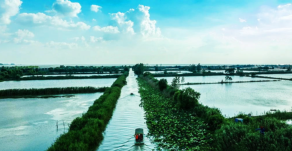 洪澤湖西順河濕地：湖畔水鄉 秋色初顯