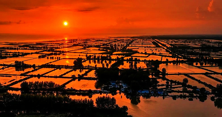 洪澤湖西順河濕地：湖畔水鄉 秋色初顯