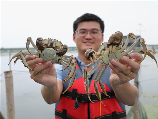 蘇州陽澄湖大閘蟹開捕_fororder_圖片11