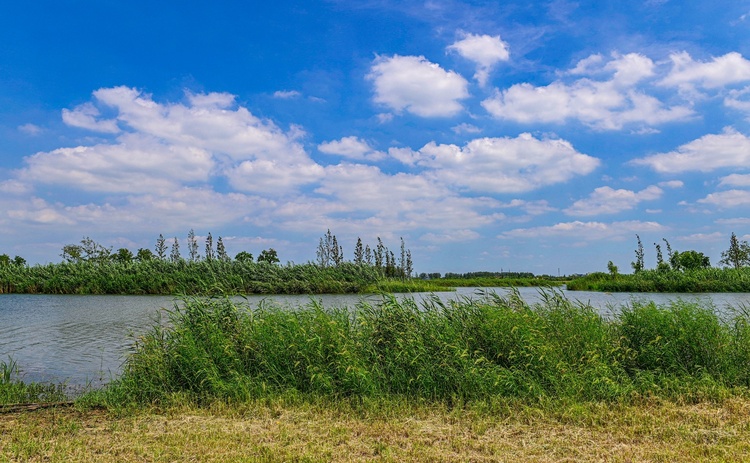 揚州北湖濕地公園：雲天滄滄 秋水泱泱