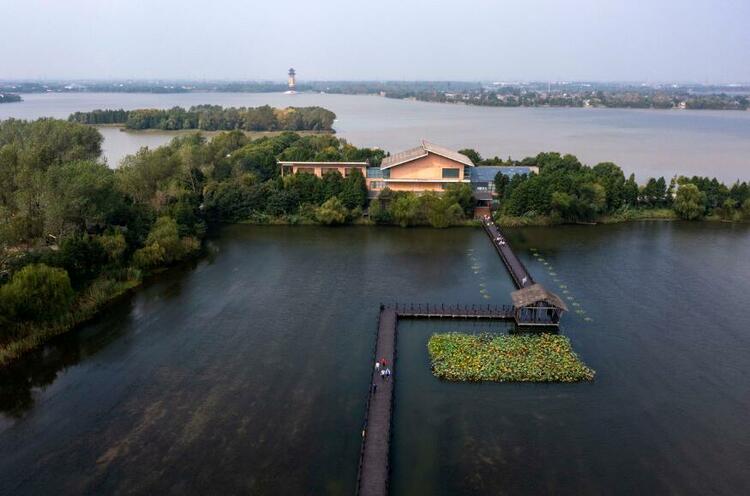 泰州溱湖濕地秋景如畫