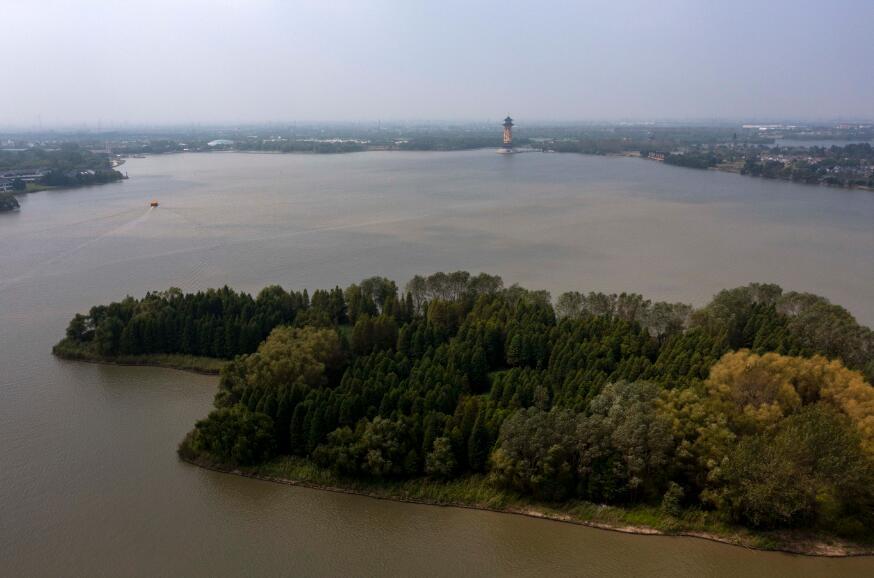 泰州溱湖濕地秋景如畫