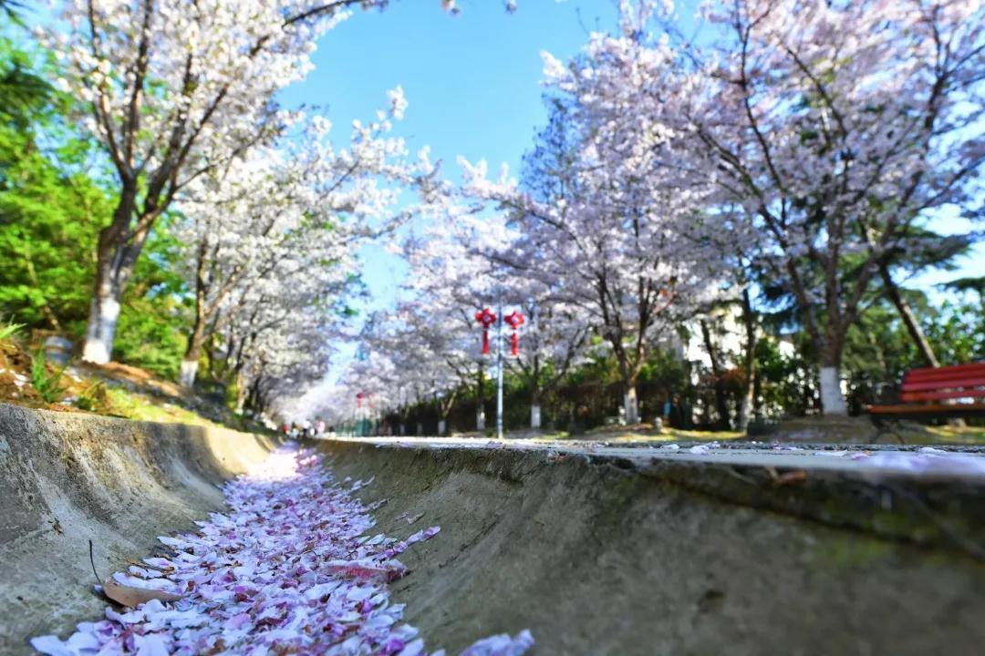 無錫惠山：四季西漳公園