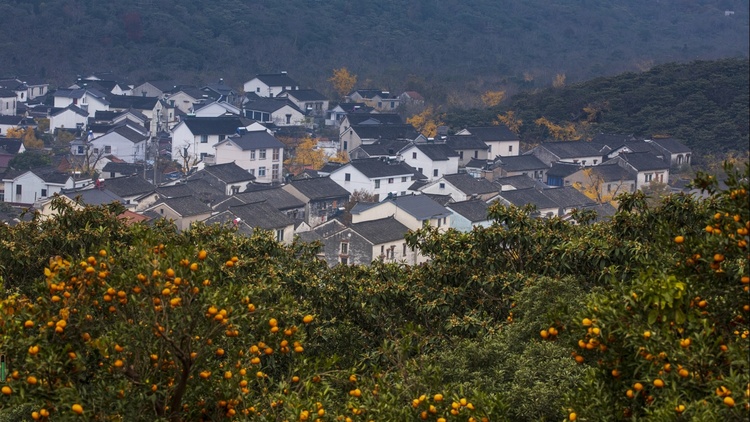 蘇州東山：湖光山色鎖金秋