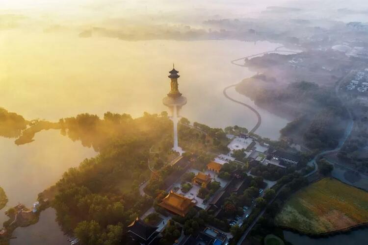 泰州溱湖濕地秋景如畫