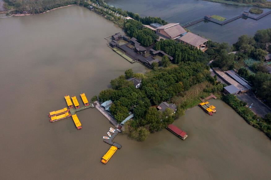 泰州溱湖濕地秋景如畫