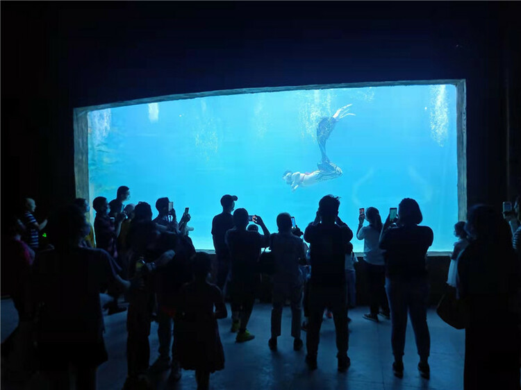 金牛湖野生動物園萌翻天