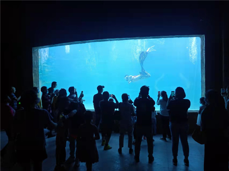 金牛湖野生動物園萌翻天