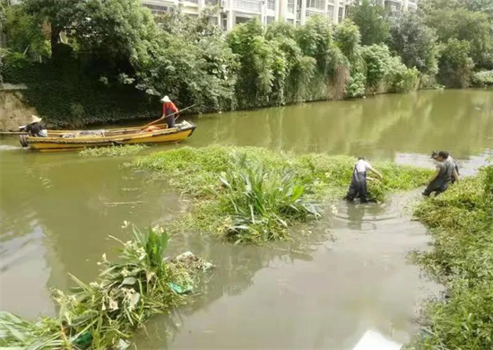 蘇州姑蘇區深入開展水環境治理 還原蘇式枕河人家風貌_fororder_圖片1