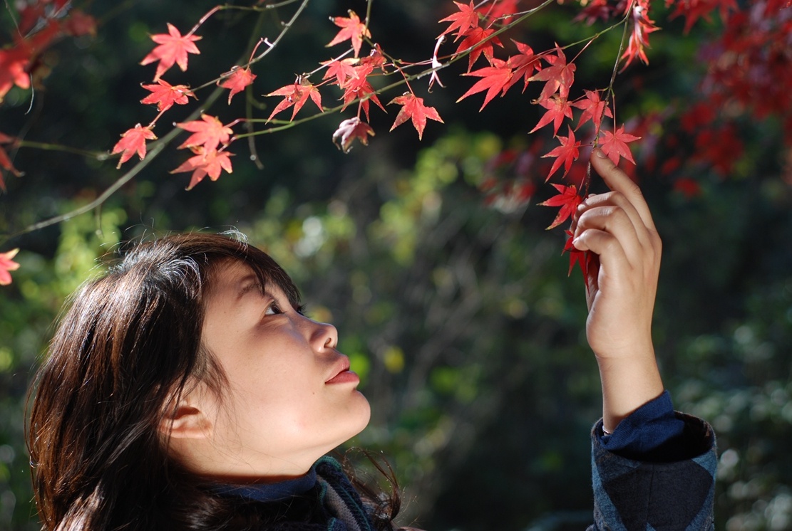 揚州：清風吹紅葉 古城秋意濃