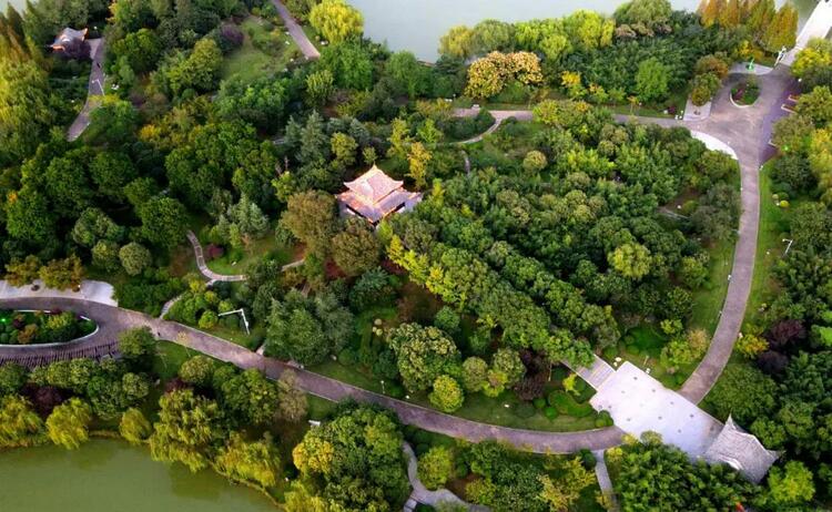 徐州市泉山區：秋染雲龍湖 景色美如畫