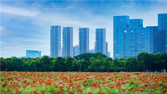 無錫市蠡湖街道：生態品質提升變“荒地”為“花海”_fororder_圖片6_副本