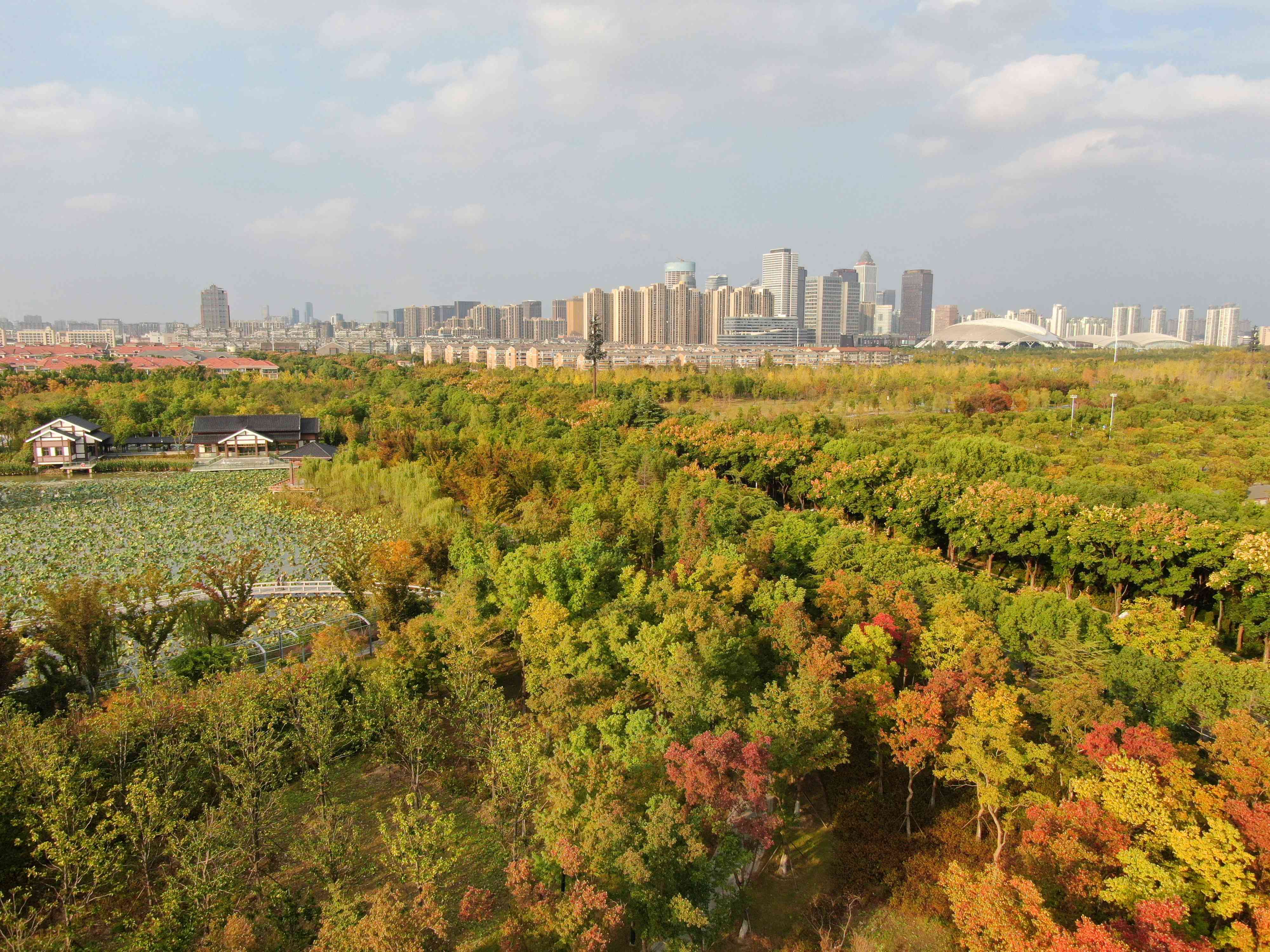 南通：狼山國家森林公園秋色如畫