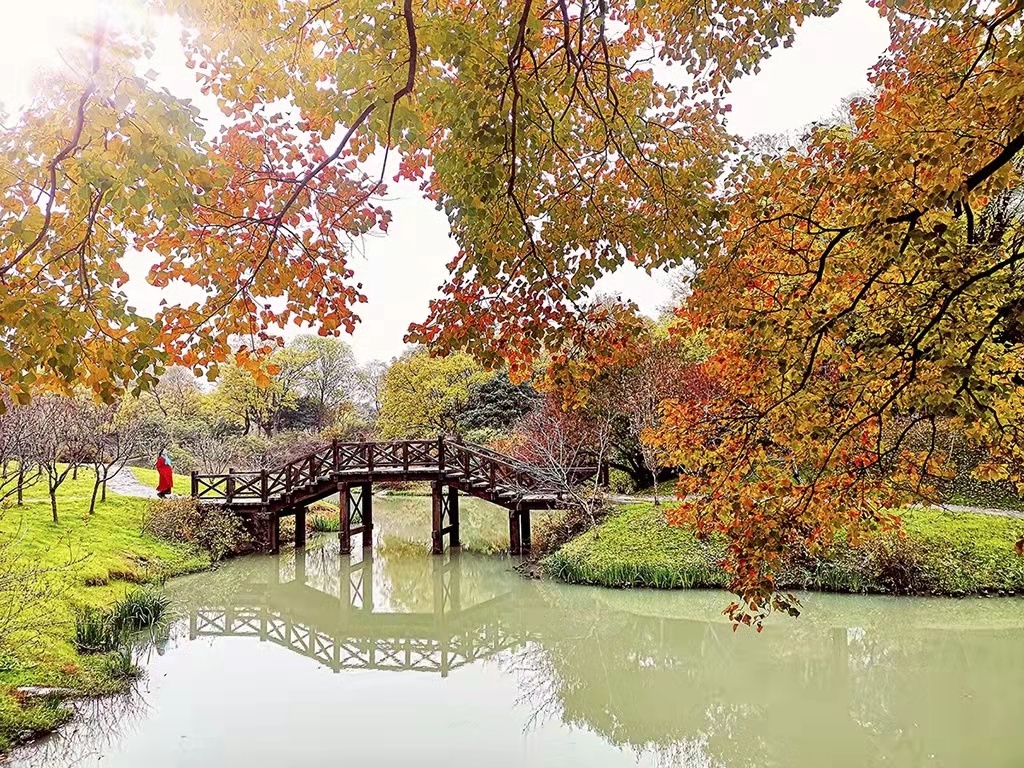 揚州：山明水凈夜來霜 數樹深紅出淺黃