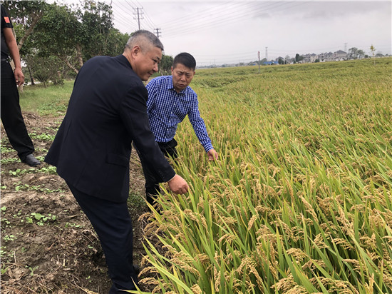 泰州興化東三村：援法議事 呵護東三味“稻”_fororder_微信圖片_20211129100706_副本