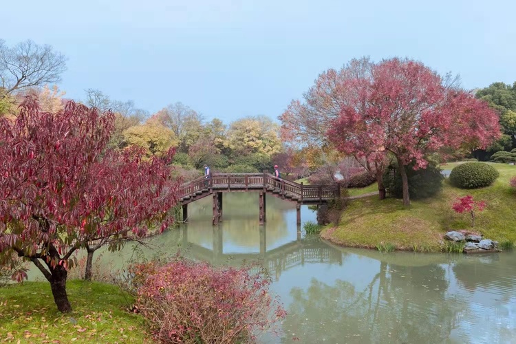 揚州：山明水凈夜來霜 數樹深紅出淺黃