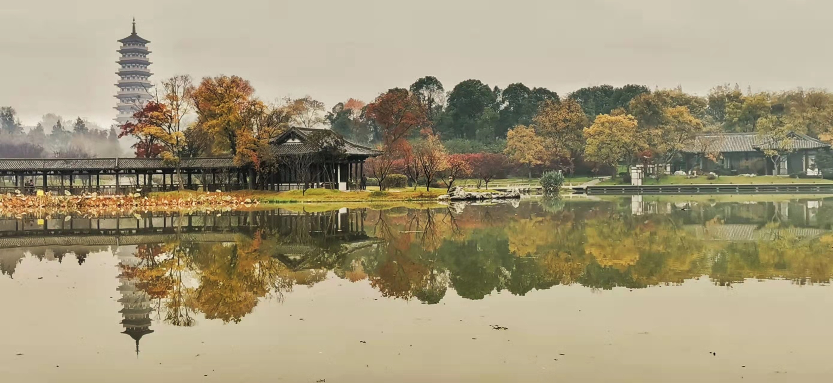 揚州：山明水凈夜來霜 數樹深紅出淺黃