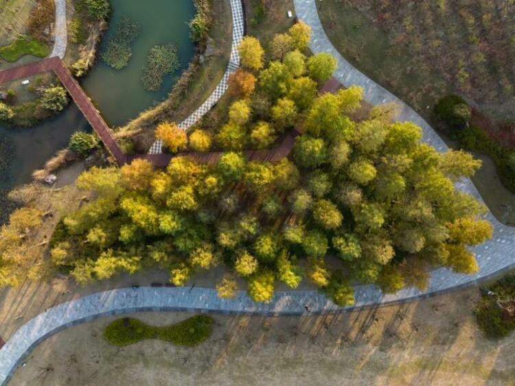 南京江寧牛首山：斑斕時刻 動人風景